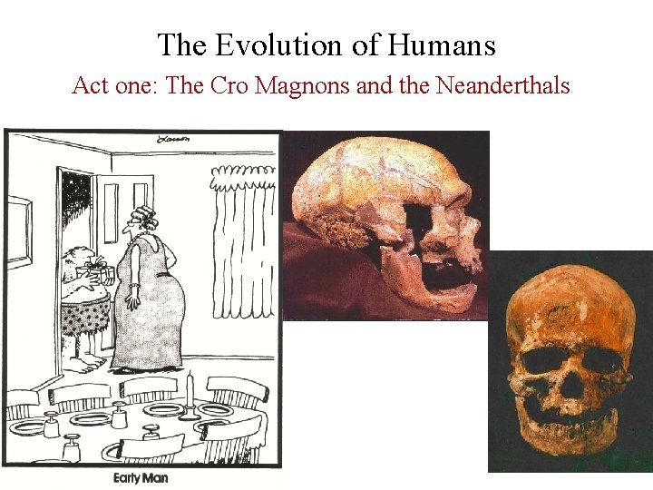 The Evolution of Humans Act one: The Cro Magnons and the Neanderthals 