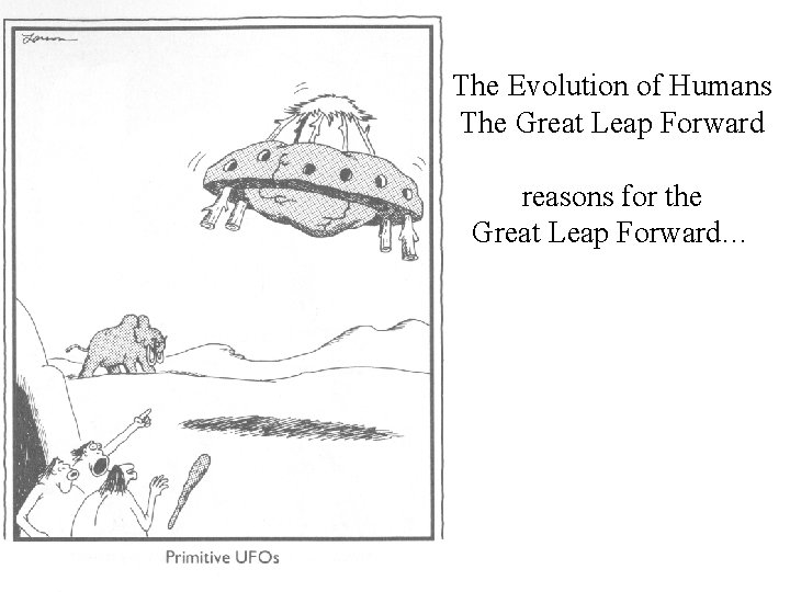 The Evolution of Humans The Great Leap Forward reasons for the Great Leap Forward…