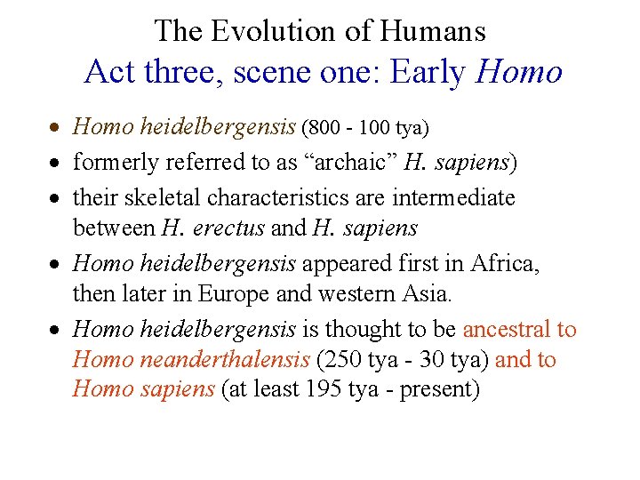 The Evolution of Humans Act three, scene one: Early Homo · Homo heidelbergensis (800