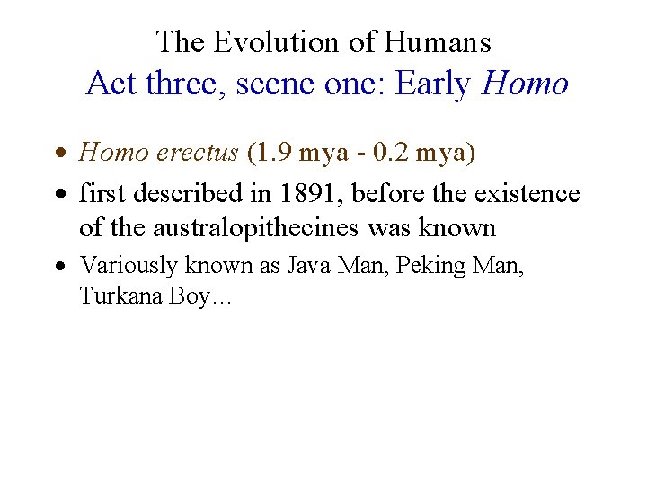 The Evolution of Humans Act three, scene one: Early Homo · Homo erectus (1.