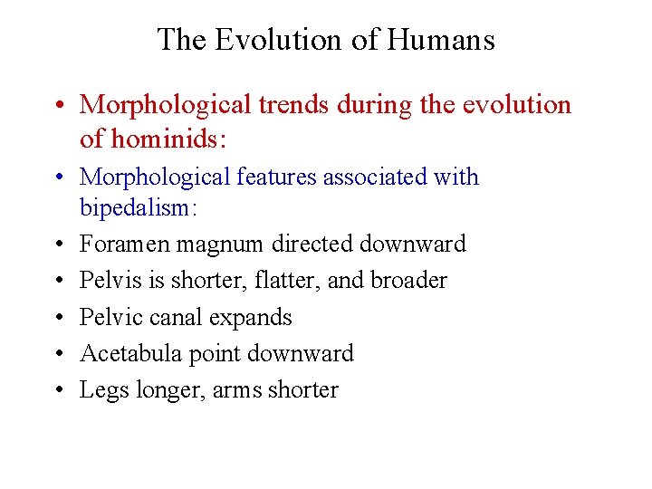 The Evolution of Humans • Morphological trends during the evolution of hominids: • Morphological