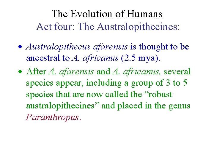 The Evolution of Humans Act four: The Australopithecines: · Australopithecus afarensis is thought to