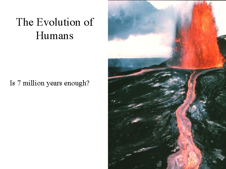 The Evolution of Humans Is 7 million years enough? 