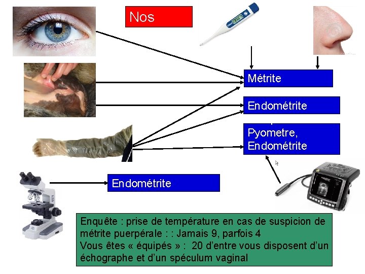 Nos outils Métrite puerpérale Endométrite clinique Pyometre, Endométrite clinique Endométrite subclinique Enquête : prise