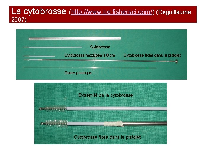 La cytobrosse (http: //www. be. fishersci. com/) (Deguillaume 2007) 33 