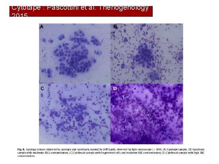 Cytotape : Pascottini et al. Theriogenology 2015 36 