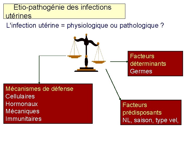  Etio-pathogénie des infections utérines L'infection utérine = physiologique ou pathologique ? Facteurs déterminants
