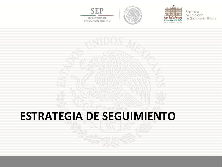 ESTRATEGIA DE SEGUIMIENTO 19 