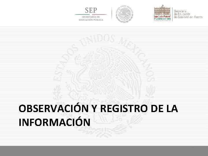 OBSERVACIÓN Y REGISTRO DE LA INFORMACIÓN 24 