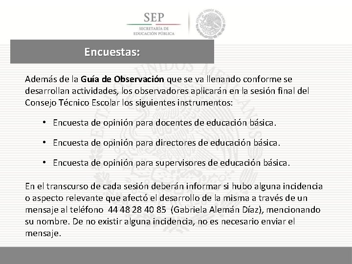 Encuestas: Además de la Guía de Observación que se va llenando conforme se desarrollan