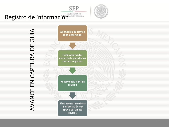 AVANCE EN CAPTURA DE GUÍA Registro de información Asignación de clave a cada observador