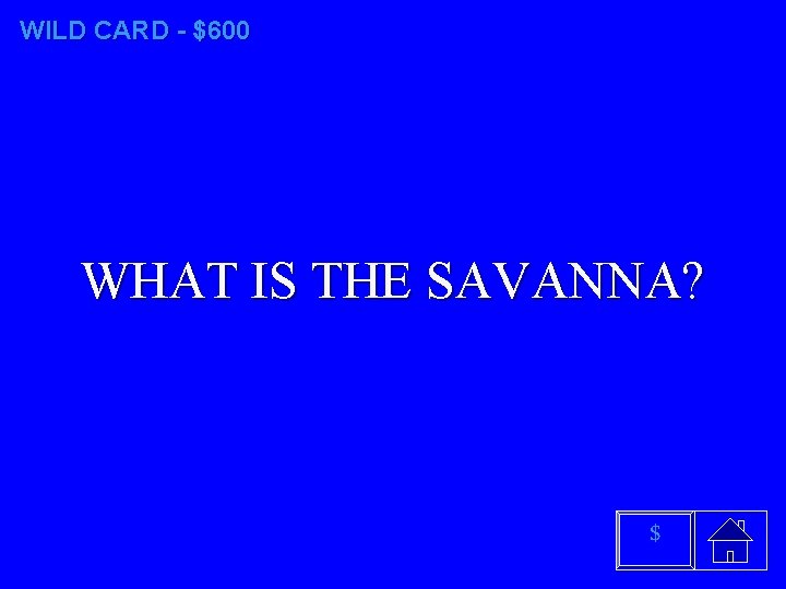 WILD CARD - $600 WHAT IS THE SAVANNA? $ 
