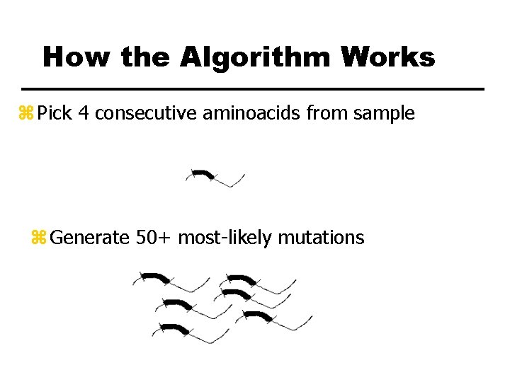 How the Algorithm Works z Pick 4 consecutive aminoacids from sample z Generate 50+