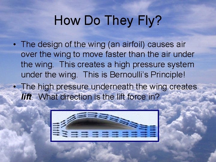 How Do They Fly? • The design of the wing (an airfoil) causes air