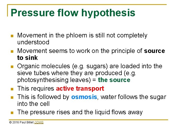 Pressure flow hypothesis n n n Movement in the phloem is still not completely