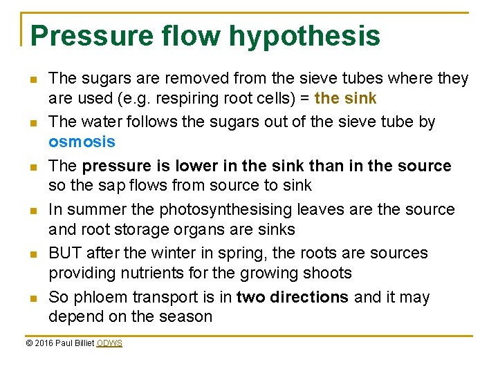 Pressure flow hypothesis n n n The sugars are removed from the sieve tubes