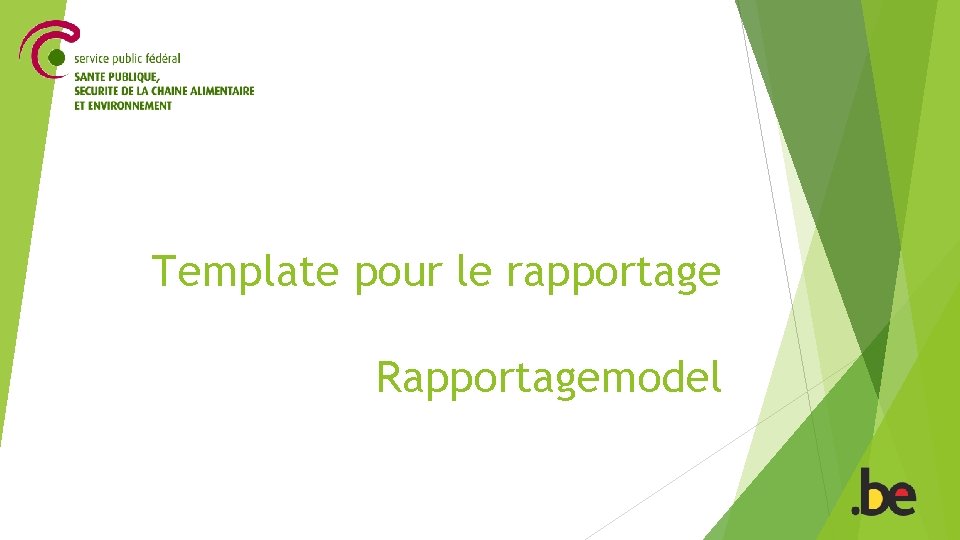 Template pour le rapportage Rapportagemodel 