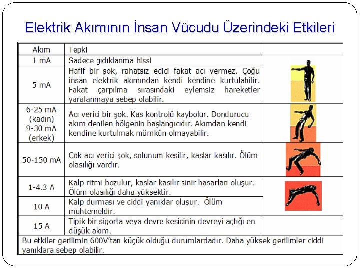 Elektrik Akımının İnsan Vücudu Üzerindeki Etkileri 