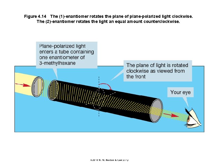 Figure 4. 14 The (1)-enantiomer rotates the plane of plane-polarized light clockwise. The (2)-enantiomer rotates