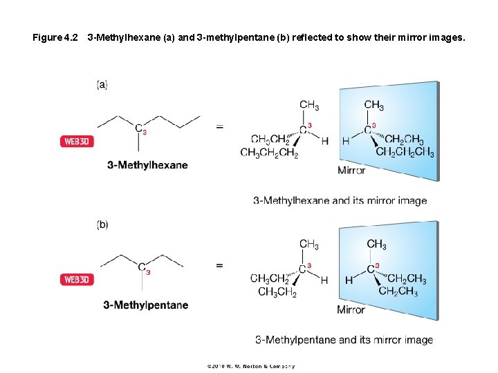 Figure 4. 2 3 -Methylhexane (a) and 3 -methylpentane (b) reflected to show their mirror