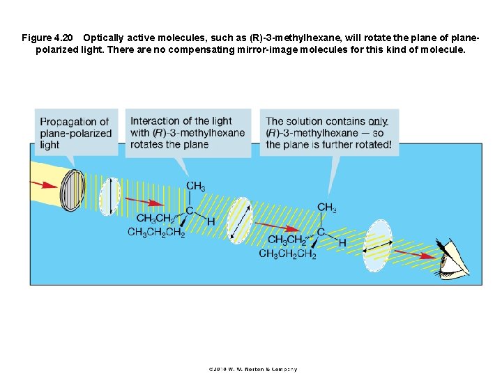 Figure 4. 20 Optically active molecules, such as (R)-3 -methylhexane, will rotate the plane of