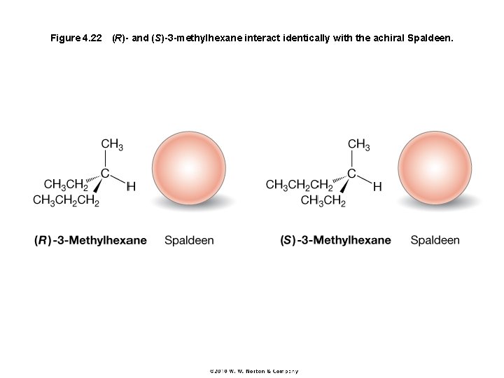 Figure 4. 22 (R)- and (S)-3 -methylhexane interact identically with the achiral Spaldeen. 