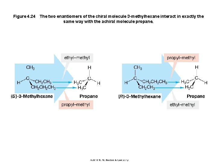 Figure 4. 24 The two enantiomers of the chiral molecule 3 -methylhexane interact in exactly