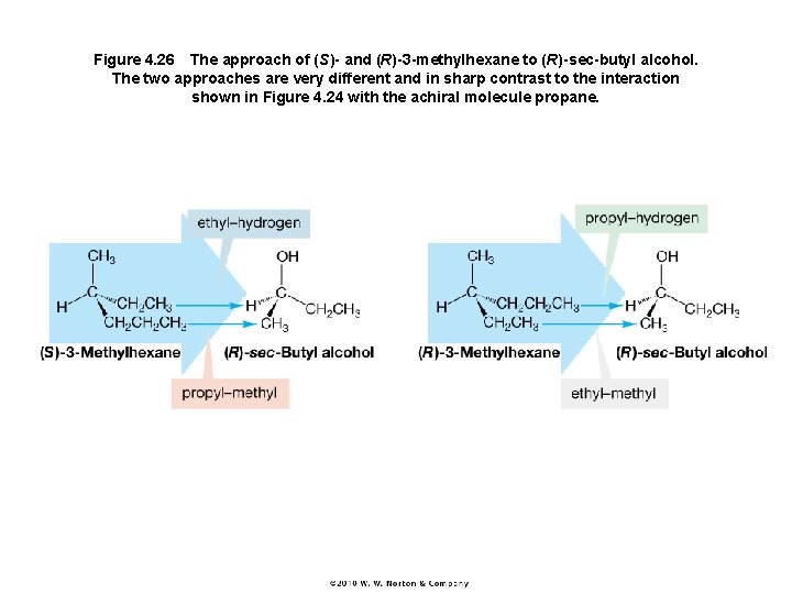 Figure 4. 26 The approach of (S)- and (R)-3 -methylhexane to (R)-sec-butyl alcohol. The two