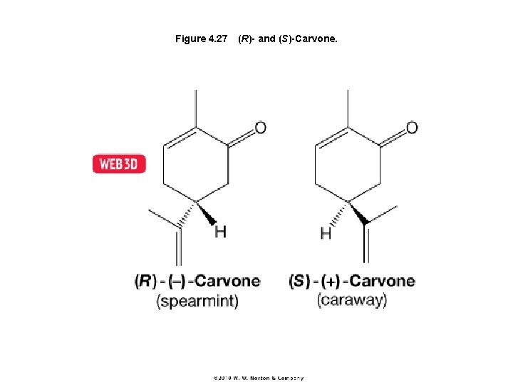 Figure 4. 27 (R)- and (S)-Carvone. 