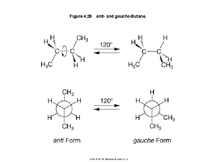 Figure 4. 29 anti- and gauche-Butane. 