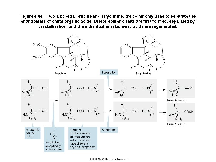 Figure 4. 44 Two alkaloids, brucine and strychnine, are commonly used to separate the enantiomers