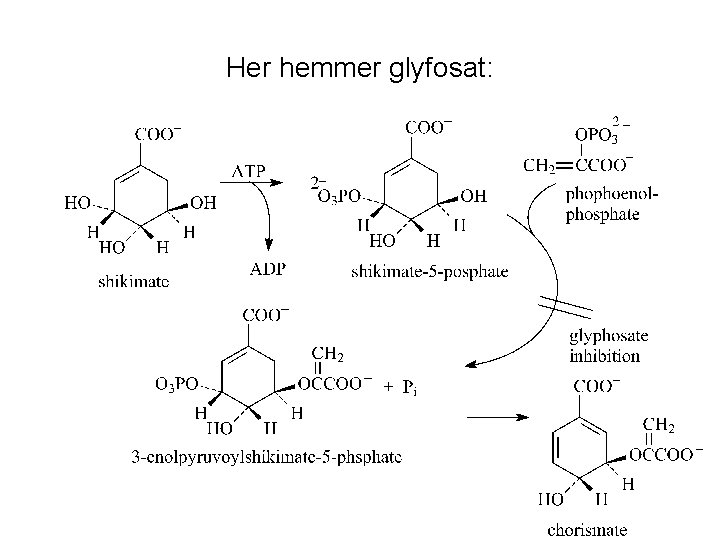 Her hemmer glyfosat: 