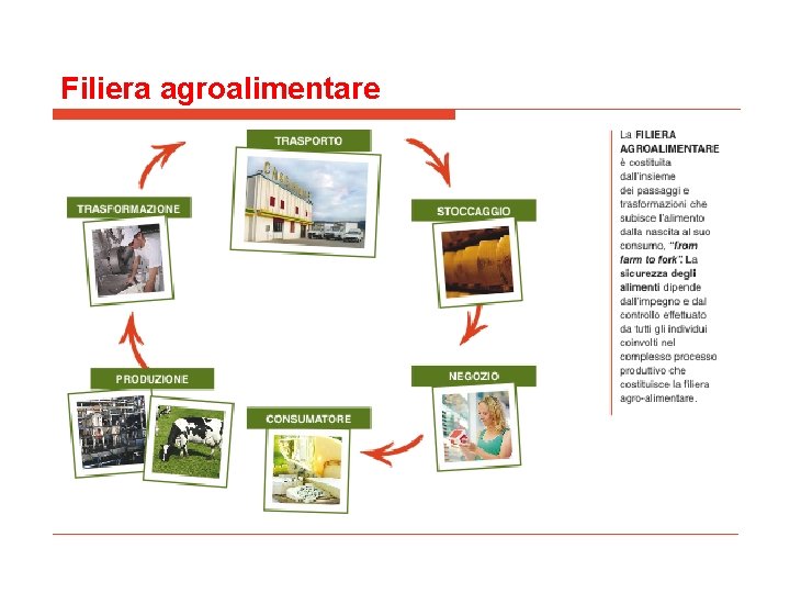 Filiera agroalimentare 