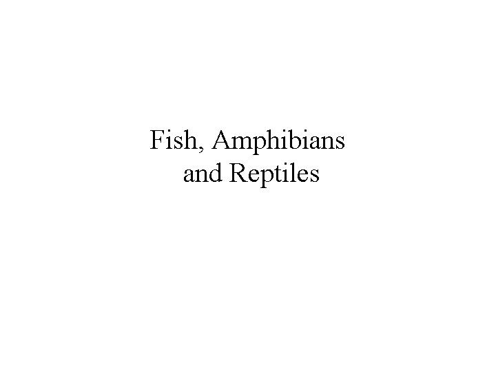 Fish, Amphibians and Reptiles 