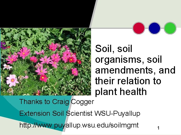 Soil, soil organisms, soil amendments, and their relation to plant health Thanks to Craig