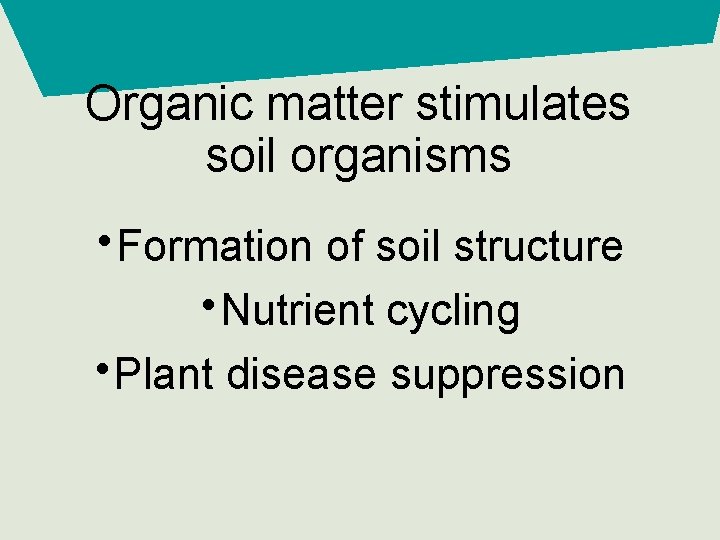 Organic matter stimulates soil organisms • Formation of soil structure • Nutrient cycling •