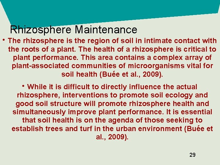 Rhizosphere Maintenance • The rhizosphere is the region of soil in intimate contact with