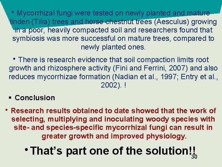  • Mycorrhizal fungi were tested on newly planted and mature linden (Tilia) trees