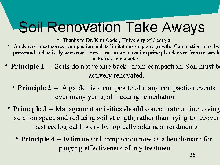 Soil Renovation Take Aways • • Thanks to Dr. Kim Coder, University of Georgia