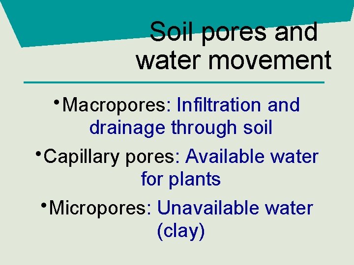 Soil pores and water movement • Macropores: Infiltration and drainage through soil • Capillary
