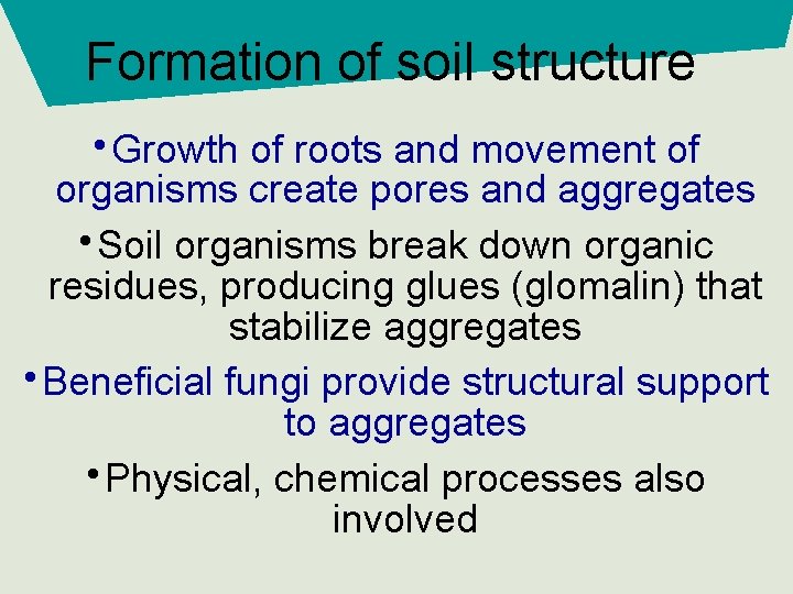 Formation of soil structure • Growth of roots and movement of organisms create pores