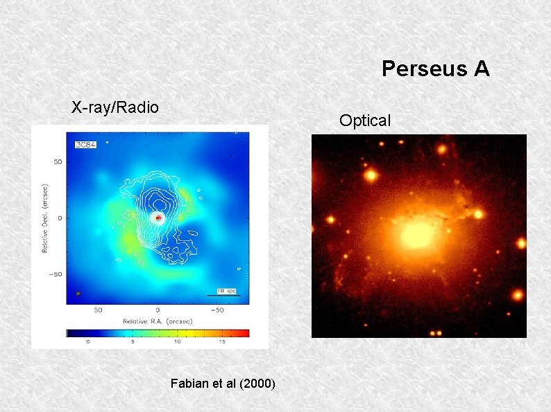 Perseus A X-ray/Radio Optical Fabian et al (2000) 