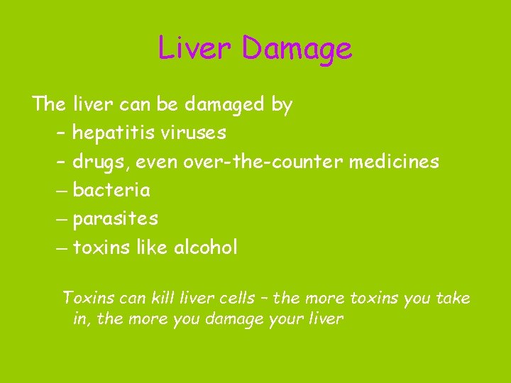 Liver Damage The liver can be damaged by – hepatitis viruses – drugs, even