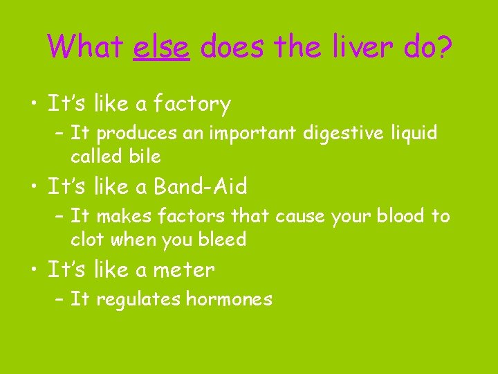 What else does the liver do? • It’s like a factory – It produces