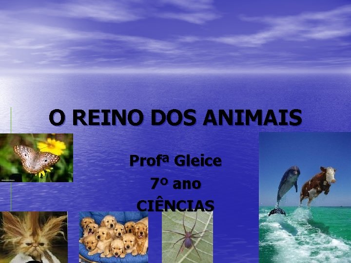 O REINO DOS ANIMAIS Profª Gleice 7º ano CIÊNCIAS 