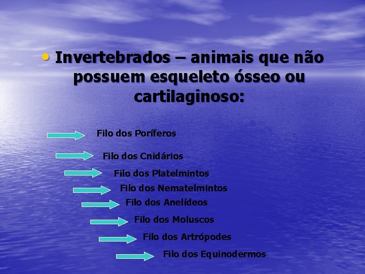  • Invertebrados – animais que não possuem esqueleto ósseo ou cartilaginoso: Filo dos