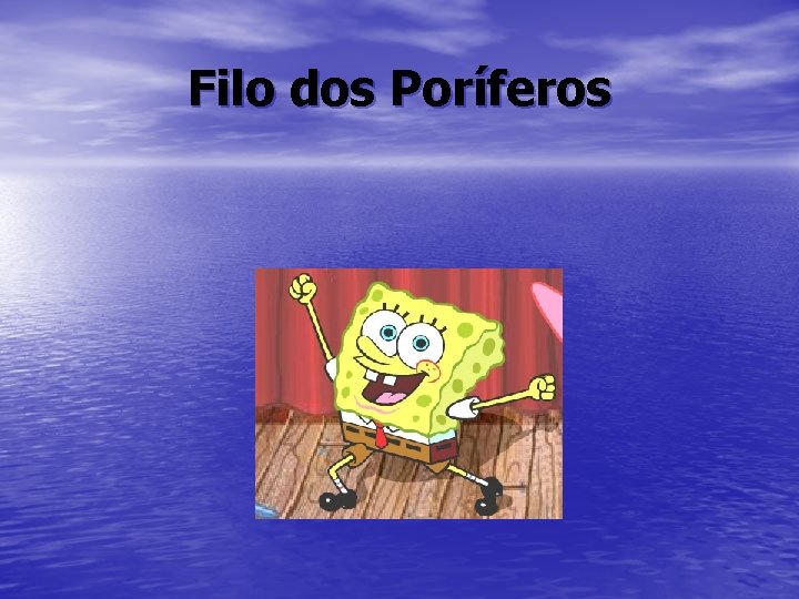 Filo dos Poríferos 