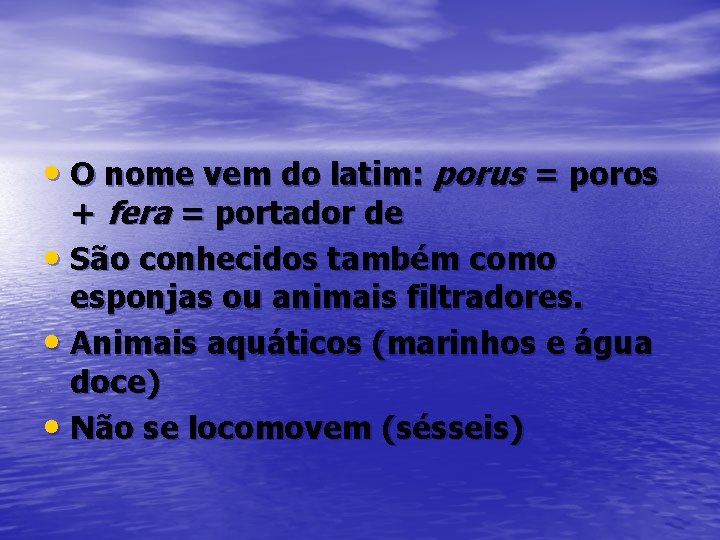• O nome vem do latim: porus = poros + fera = portador • O nome vem do latim: porus = poros + fera = portador