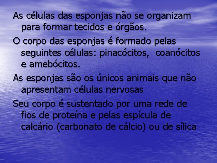 As células das esponjas não se organizam para formar tecidos e órgãos. O corpo