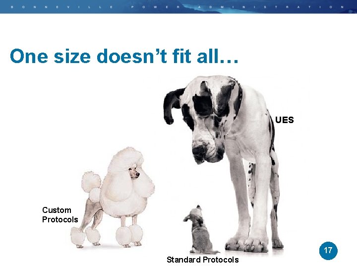 One size doesn’t fit all… UES Custom Protocols 17 Standard Protocols 